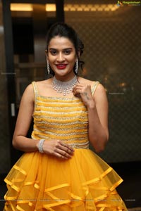 Jenny Honey - Telugu Film Actress