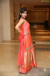 Preethi Singh at Sutraa Logo Launch