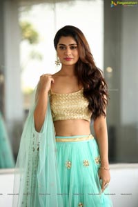 Payal Rajput in Ghagra