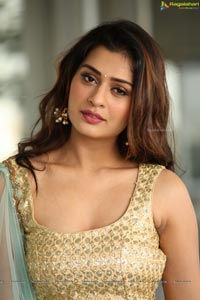 Payal Rajput in Ghagra