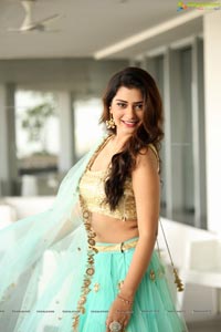 Payal Rajput in Ghagra