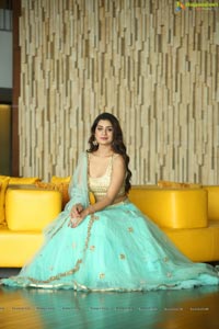 Payal Rajput in Ghagra