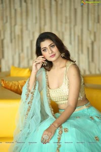 Payal Rajput in Ghagra