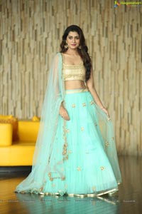 Payal Rajput in Ghagra