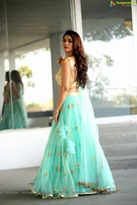 Payal Rajput in Ghagra