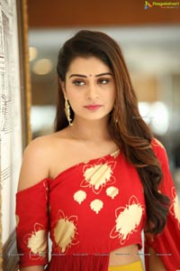 Payal Rajput