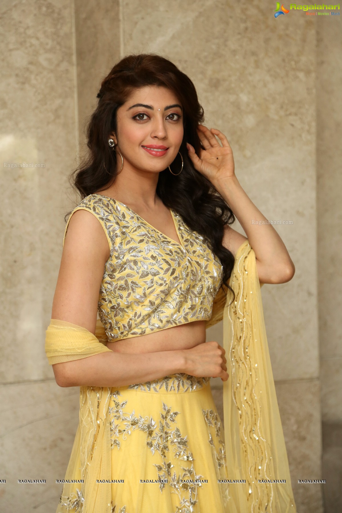 Pranitha Subhash @ Hello Guru Prema Kosame Success Meet