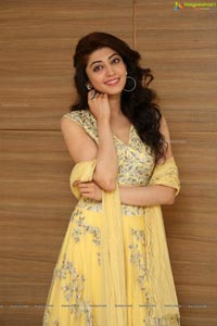 Pranitha Subhash - Telugu Film Actress