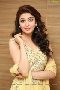 Pranitha Subhash - Telugu Film Actress