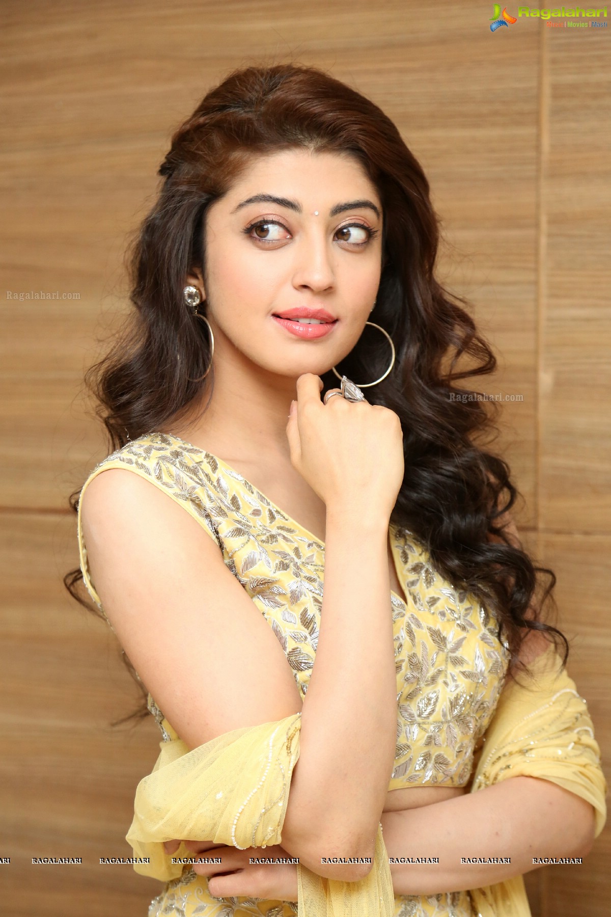 Pranitha Subhash @ Hello Guru Prema Kosame Success Meet