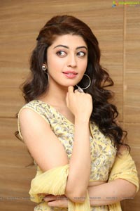 Pranitha Subhash - Telugu Film Actress