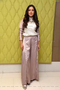 Catherine Tresa at Vadaladu Interview