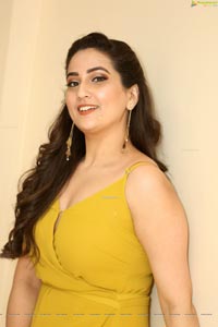 Manjusha at Operation Gold Fish Pre-Release Event