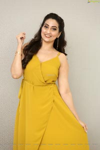 Manjusha at Operation Gold Fish Pre-Release Event