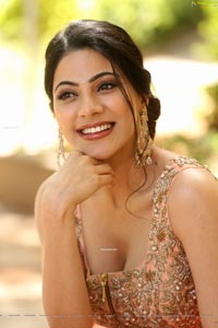 Nikki Tamboli HD Photos @ Thippara Meesam Pressmeet