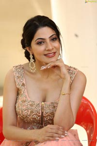 Nikki Tamboli HD Photos @ Thippara Meesam Pressmeet