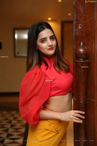 Pooja Thakur at Sutraa Select Diwali Special Exhibition 2020, HD Gallery