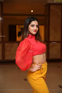 Pooja Thakur at Sutraa Select Diwali Special Exhibition