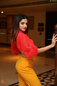 Pooja Thakur at Sutraa Select Diwali Special Exhibition