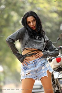 Tueeshaa in Gray Mini Medi Crop Top