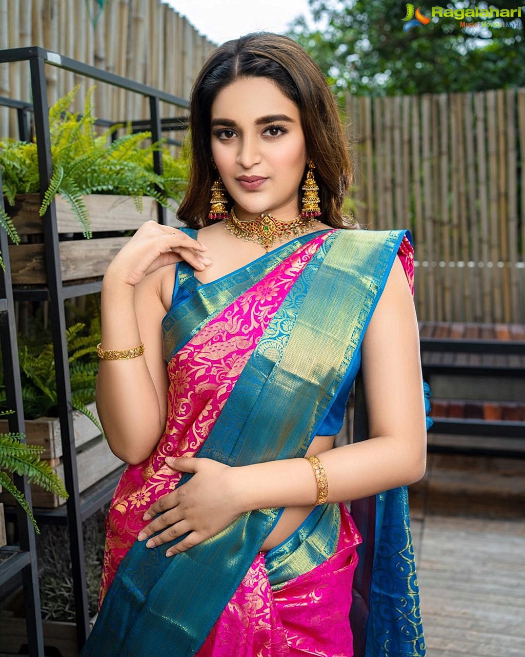 Nidhhi Agerwal in Traditional Silk Saree, Photo Gallery