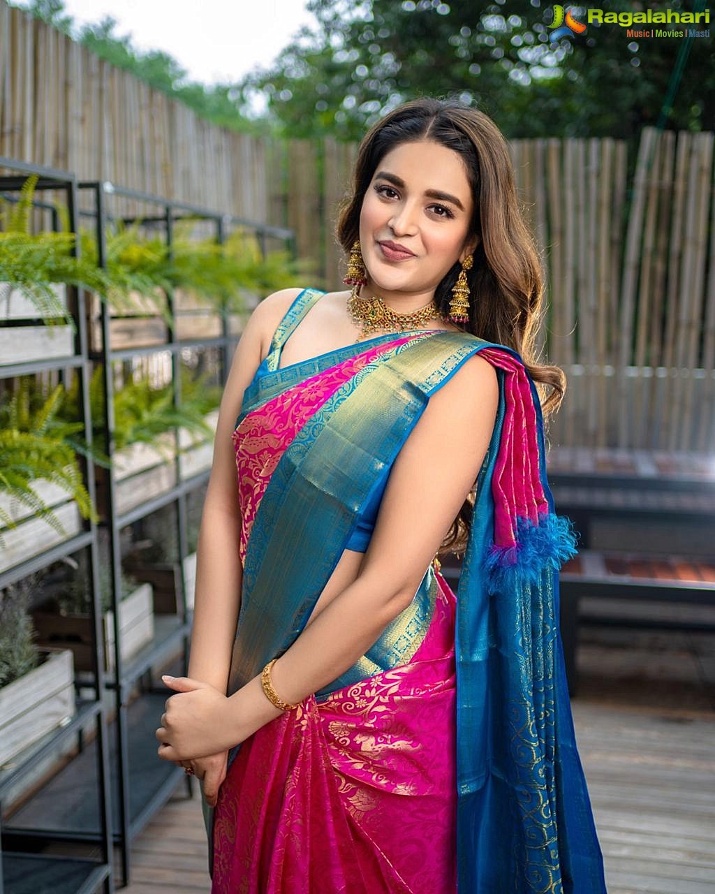 Nidhhi Agerwal in Traditional Silk Saree, Photo Gallery