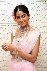 Drishika Chander in Traditional Jewellery