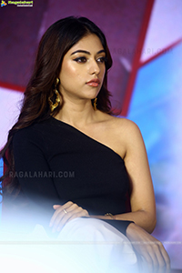 Anu Emmanuel at Urvasivo Rakshasivo Press Meet