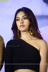 Anu Emmanuel at Urvasivo Rakshasivo Press Meet