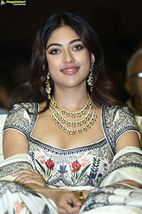 Anu Emmanuel at Urvasivo Rakshasivo Pre-Release Event