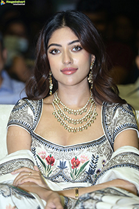 Anu Emmanuel at Urvasivo Rakshasivo Pre-Release Event