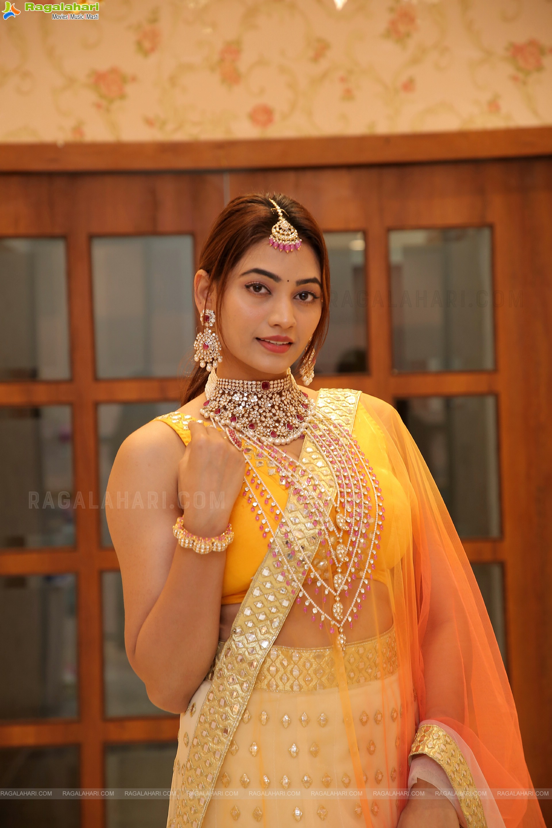 Spandana Palli Showcases a Collection at Vega Sri Gold & Diamonds Special Diwali Collection Launch