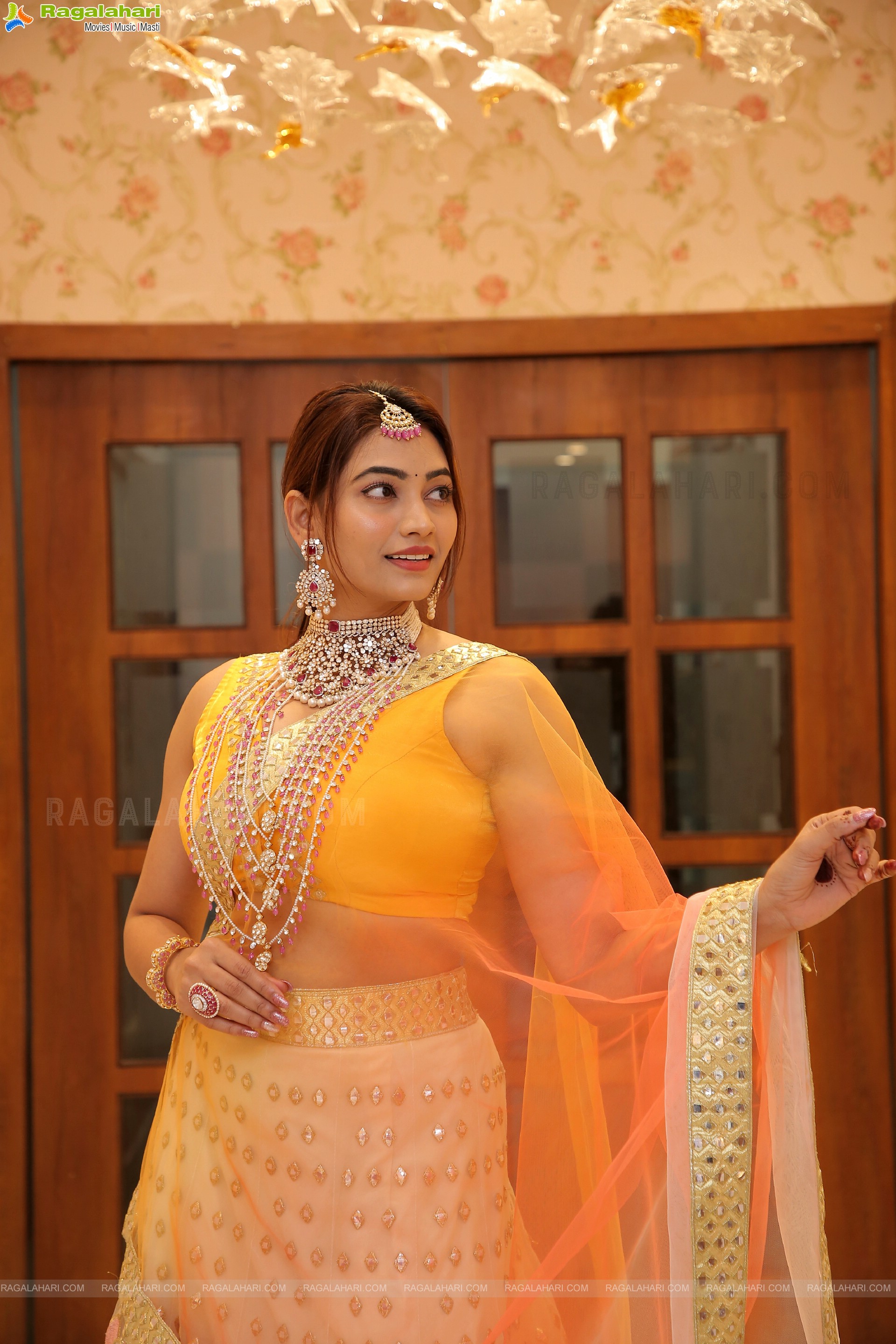 Spandana Palli Showcases a Collection at Vega Sri Gold & Diamonds Special Diwali Collection Launch