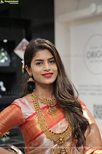 Srilekha Showcases a Jewellery Collection