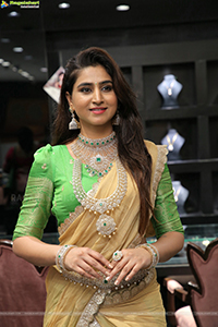 Varshini Sounderajan With Jewellery