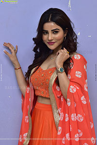 Krishika Patel at Artiste Glimpse Launch, HD Gallery