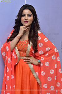 Krishika Patel at Artiste Glimpse Launch, HD Gallery