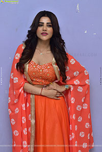 Krishika Patel at Artiste Glimpse Launch, HD Gallery