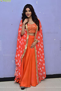 Krishika Patel at Artiste Glimpse Launch, HD Gallery