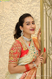 Preethi Singh Poses with Traditional Jewellery, HD Gallery