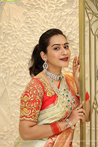 Preethi Singh Poses with Traditional Jewellery, HD Gallery