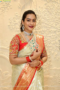 Preethi Singh Poses with Traditional Jewellery, HD Gallery