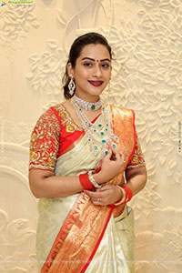 Preethi Singh Poses with Traditional Jewellery, HD Gallery