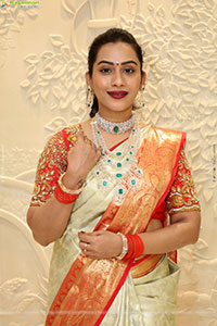 Preethi Singh Poses with Traditional Jewellery, HD Gallery
