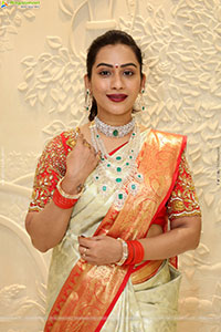 Preethi Singh Poses with Traditional Jewellery, HD Gallery