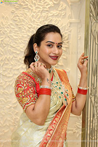 Preethi Singh Poses with Traditional Jewellery, HD Gallery