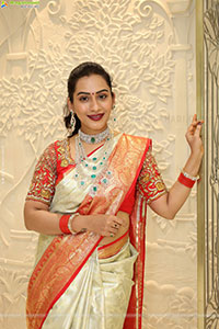 Preethi Singh Poses with Traditional Jewellery, HD Gallery