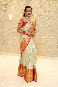 Preethi Singh Poses with Traditional Jewellery, HD Gallery