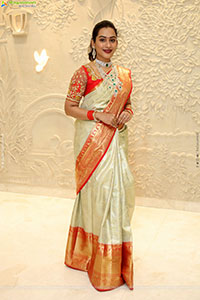 Preethi Singh Poses with Traditional Jewellery, HD Gallery