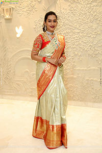 Preethi Singh Poses with Traditional Jewellery, HD Gallery